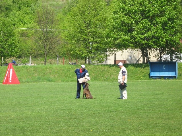www.atibox.net * www.euroboxer.eu * www.boxergenealogia.eu